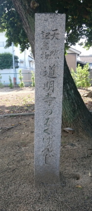 道明寺のもくげんじ碑